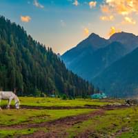 charistmatic-private-kashmir-family-tour-package