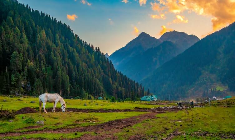 View of Kashmir's Aru Valley at sunset