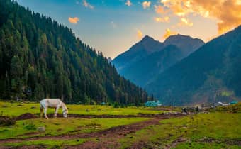 View of Kashmir's Aru Valley at sunset