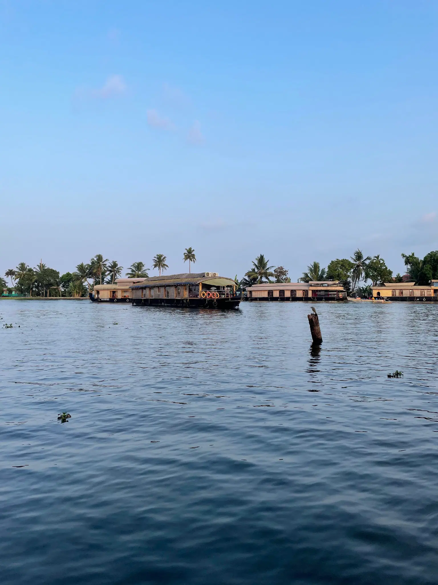 Photo from Gokul Gokul's trip
