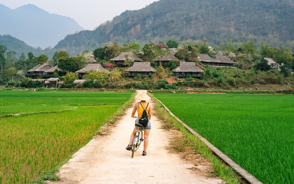 Ninh Binh Day Tour, Vietnam Image