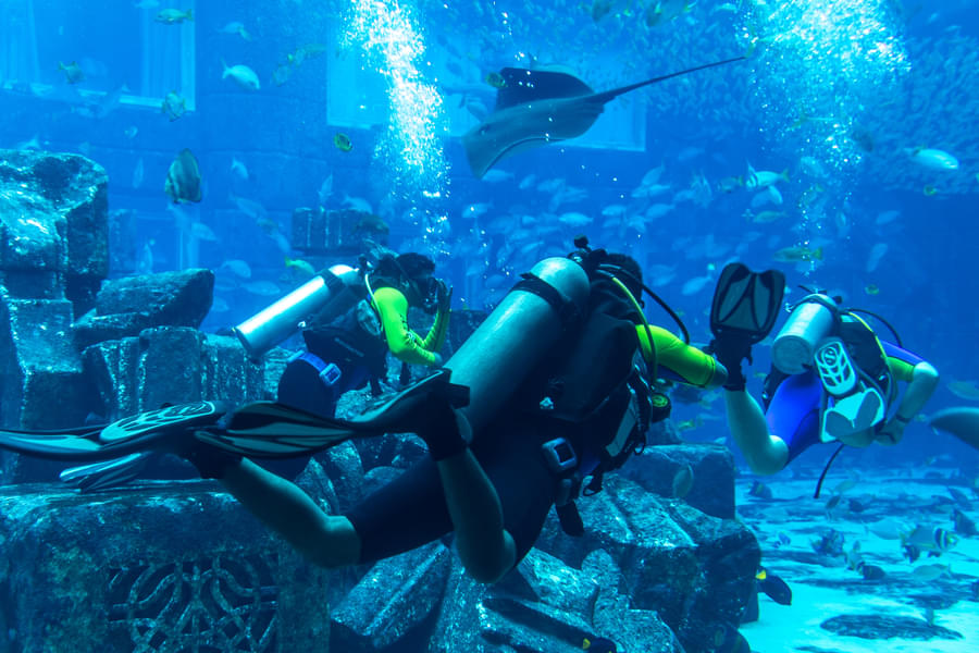 Scuba Diving Dubai Offers