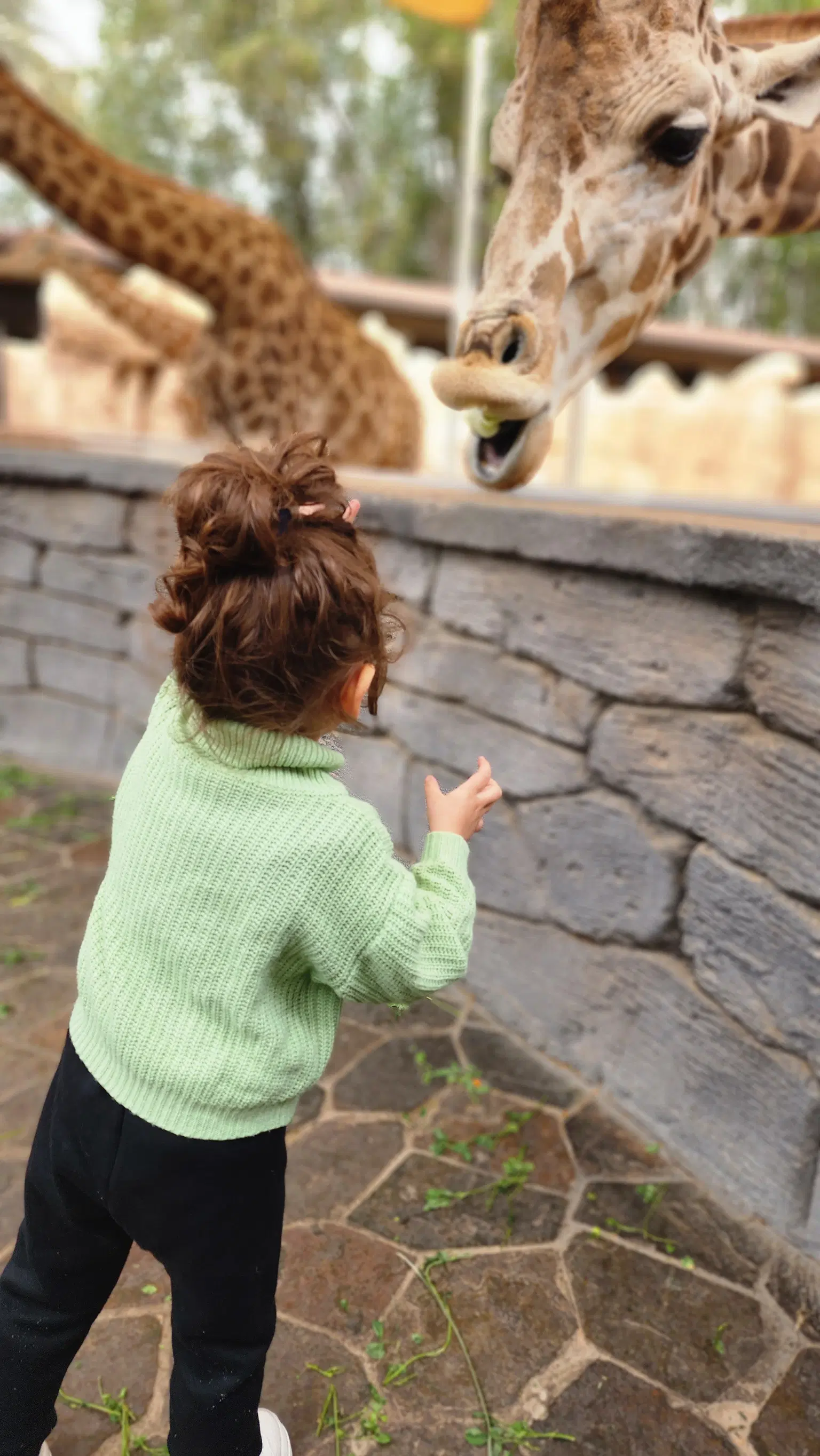 Photo from Toti Toti's trip
