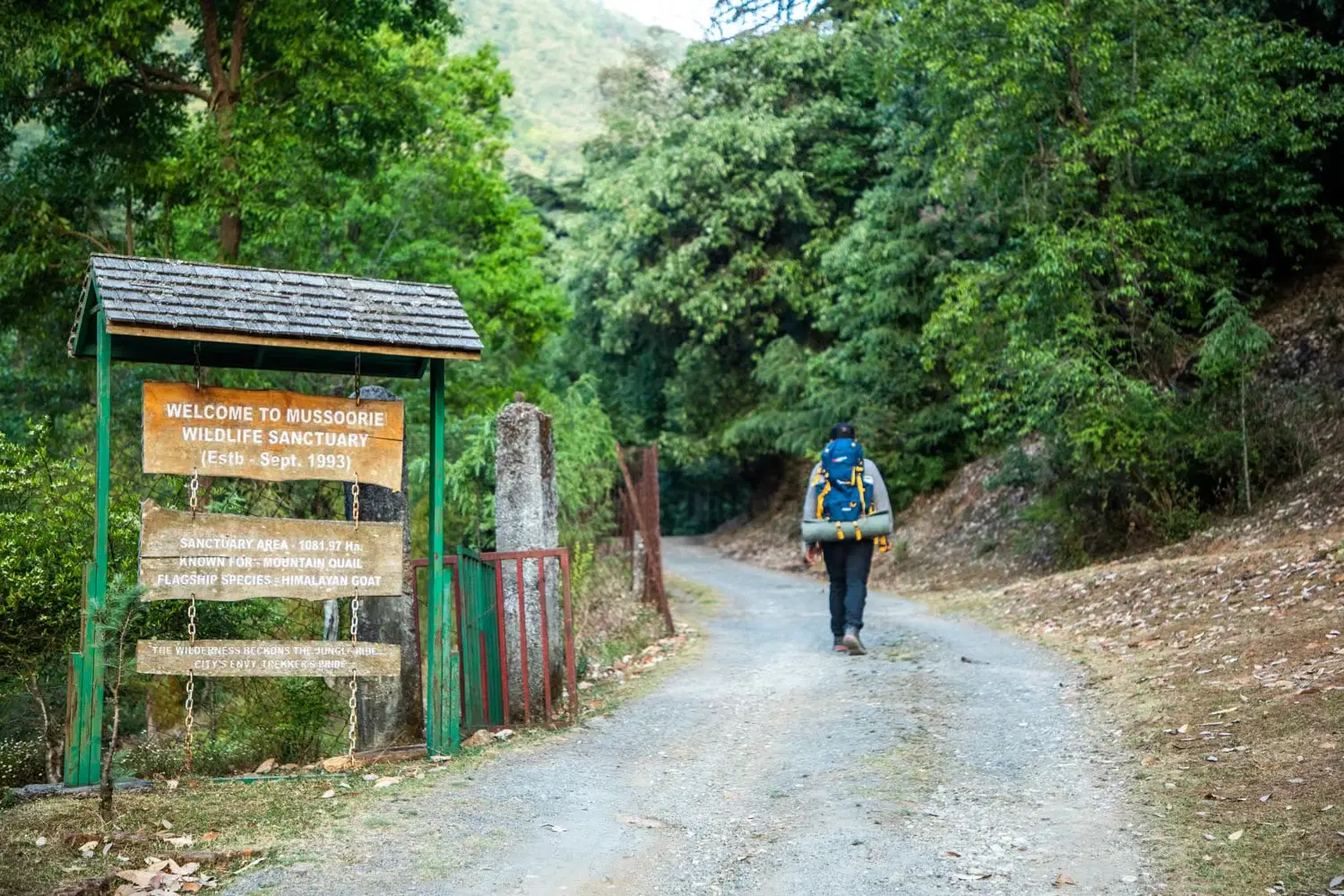 Benog Tibba