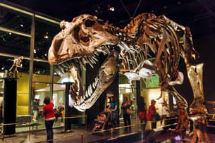 H7k7d1ocrrauqu5mrdfw5i4ic10v 1591186386 25653c05 4631 4686 a09a e68138e82c84