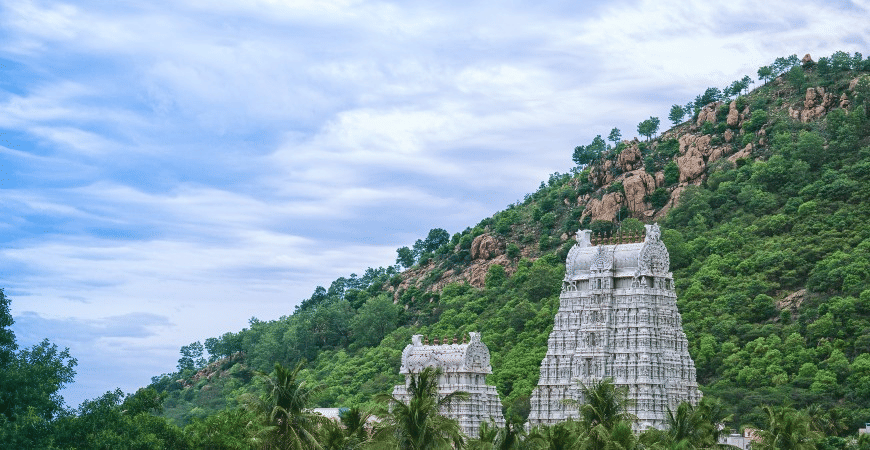 Arunachaleswarar Temple, <em>Tamil Nadu</em>