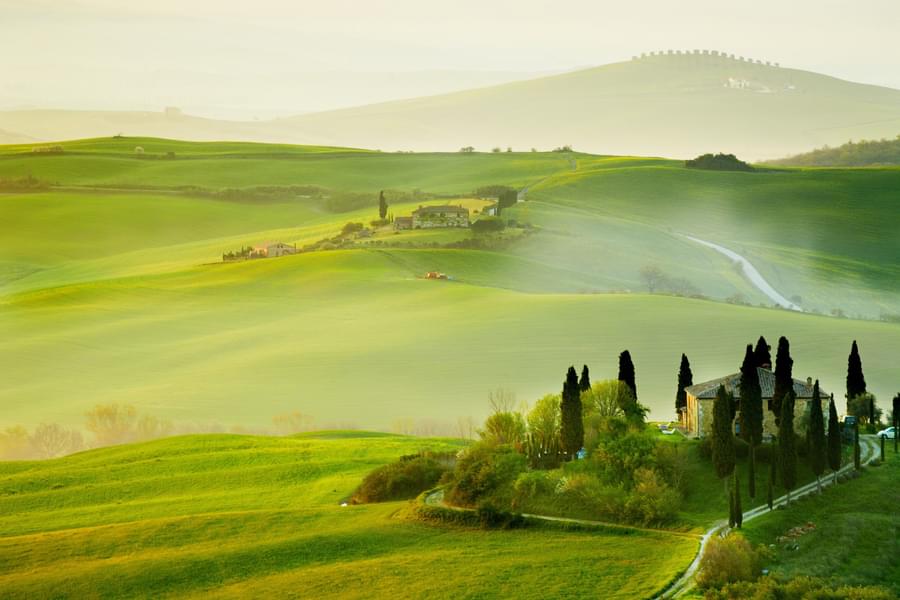 Tuscan Countryside Tour from Florence Image