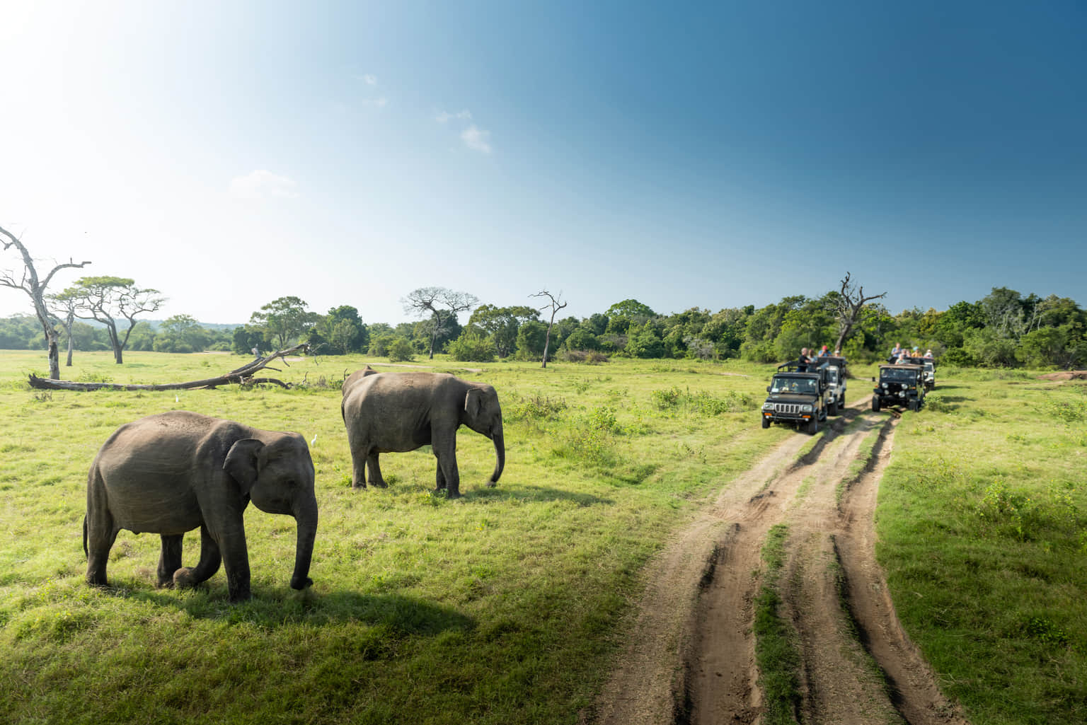 <em>Sri Lanka</em> Tour Packages From Amritsar 