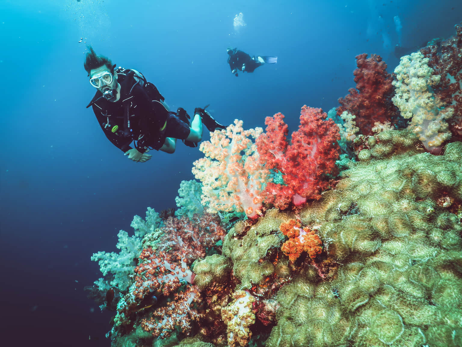 Scuba Diving