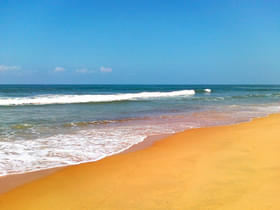 Hbdlcp7tbu8adwbub31l51wi6a8w 1464188263 candolim beach goa
