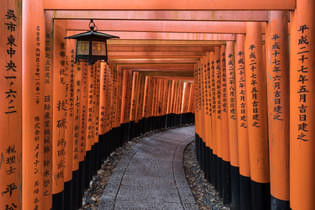 Hbe6jkd0m3cvp6940dk6brmdybjc torii path with lantern at fushimi inari taisha shrine, kyoto, japan