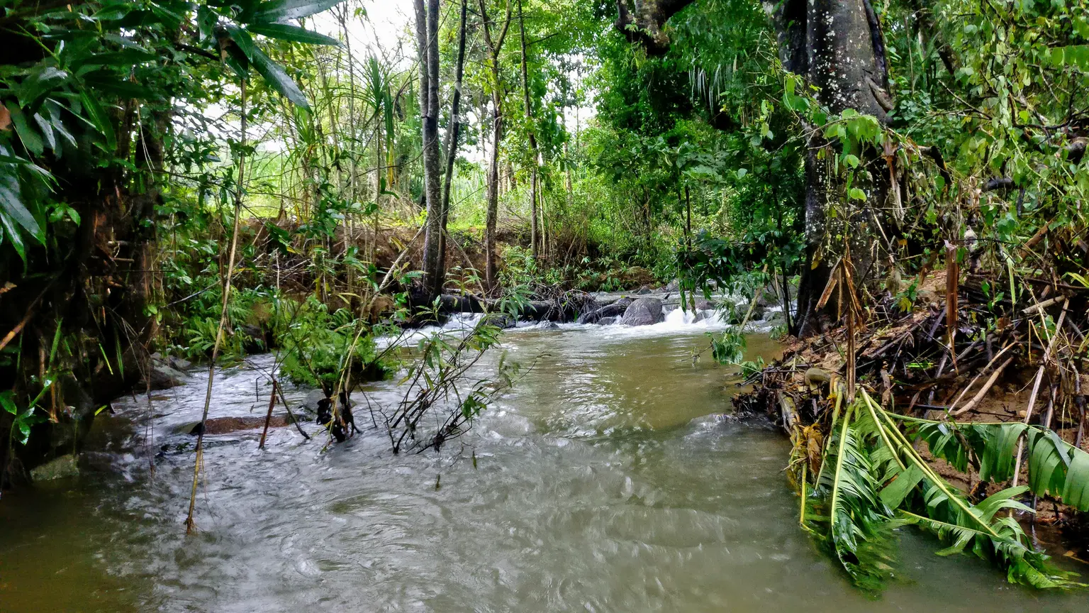 Photo from Devang Sanghrajka's trip