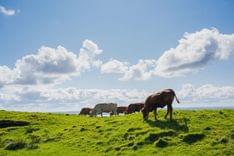 Cliffs of Moher & West of Ireland