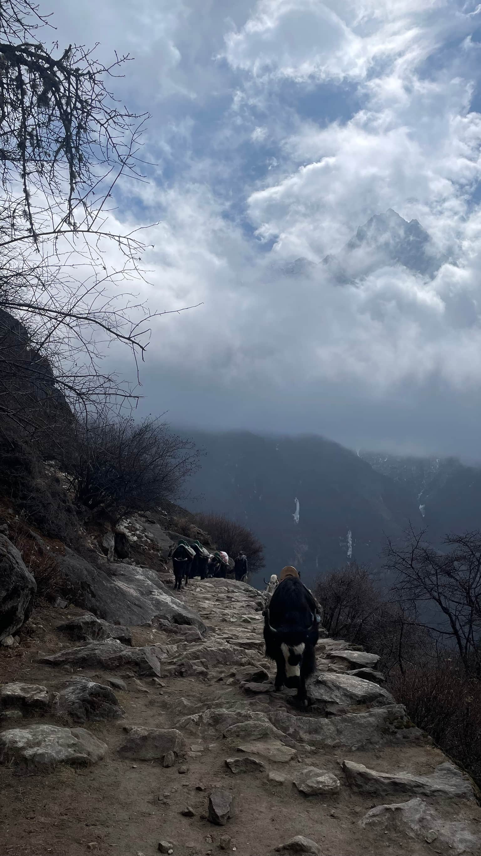 Photo from Sneha Gajula's trip