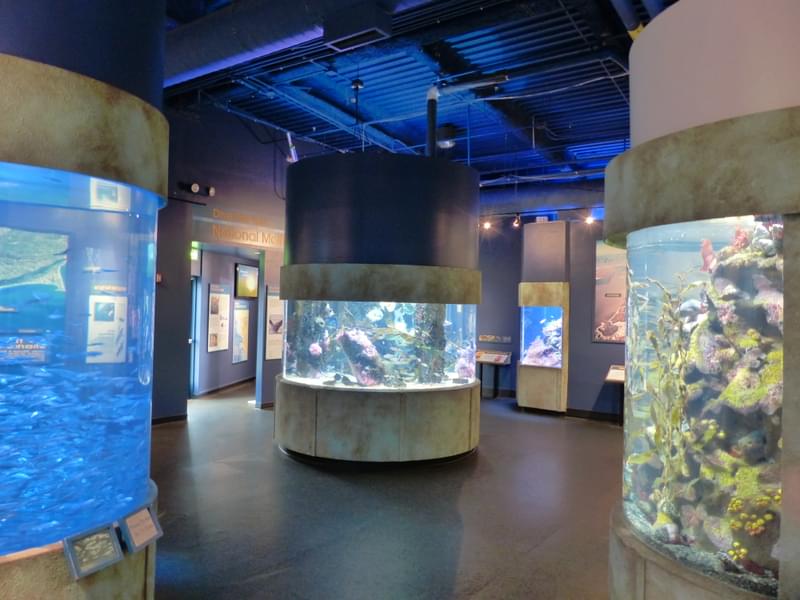 Explore exhibitions and marvel at various marine species