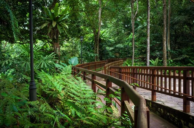 Bukit Timah Nature Reserve