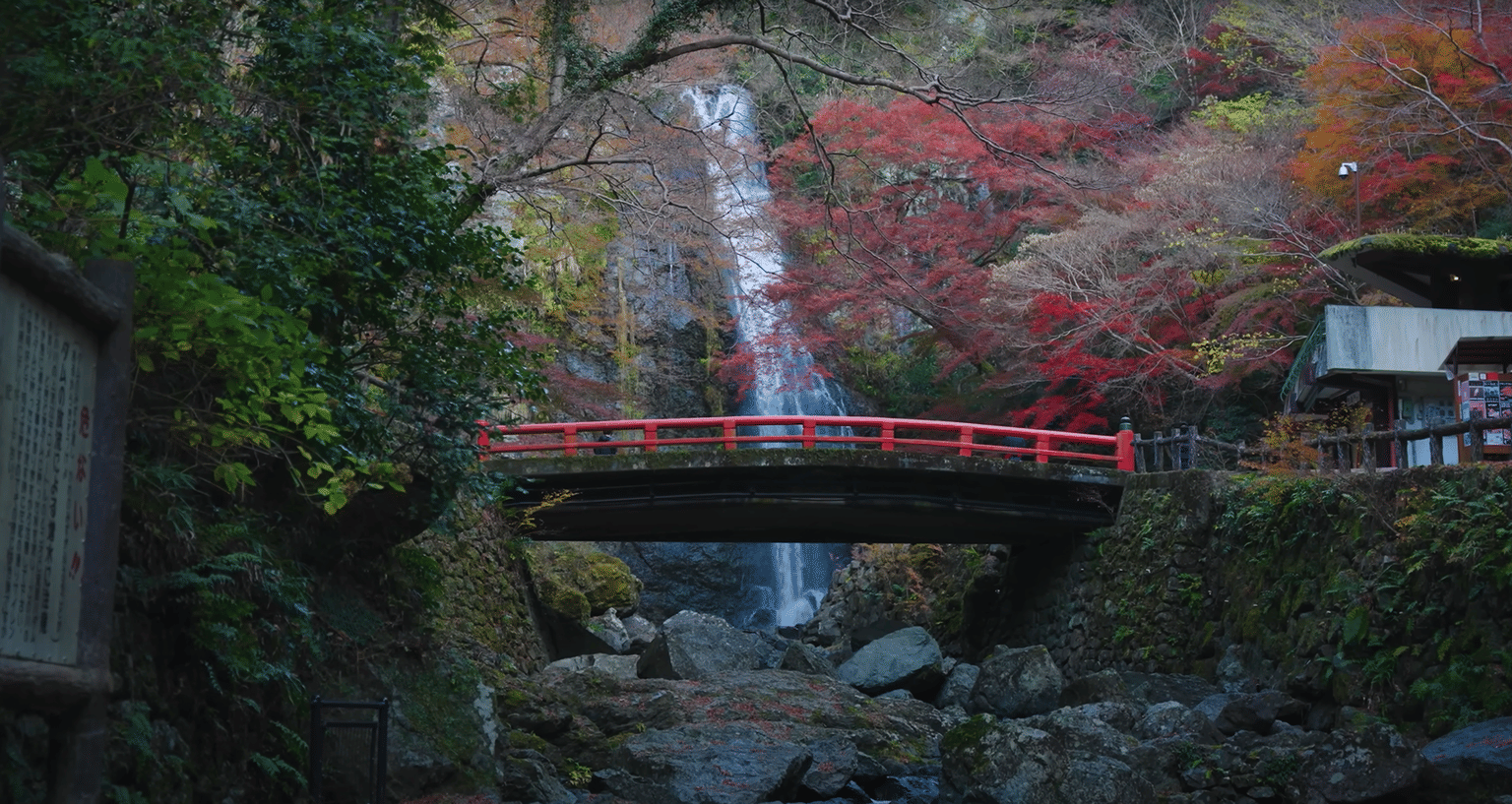 Photo from Ida Hansen's trip