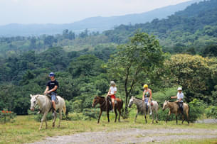 Hctim541egndnyu963igbyc7b98x horse%20ride,%20ranakpur%201