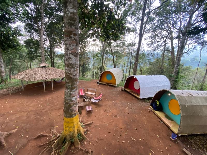 Nature Camping in Wayanad Image