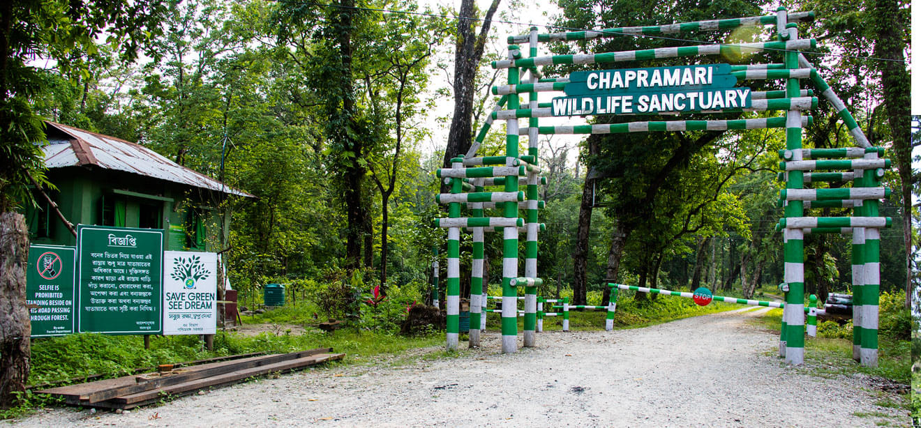Visit Chapramari Wildlife sanctuary