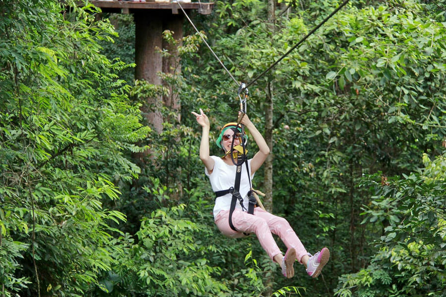 Jungle Xtrem Adventure Park Image