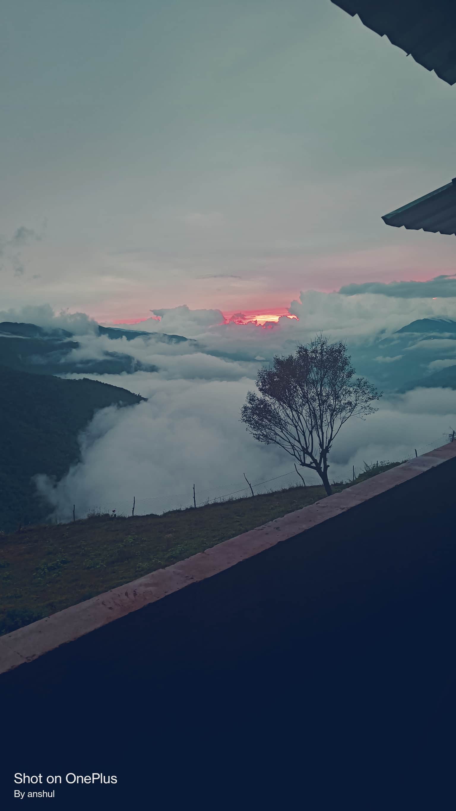 Photo from anshul sharma's trip