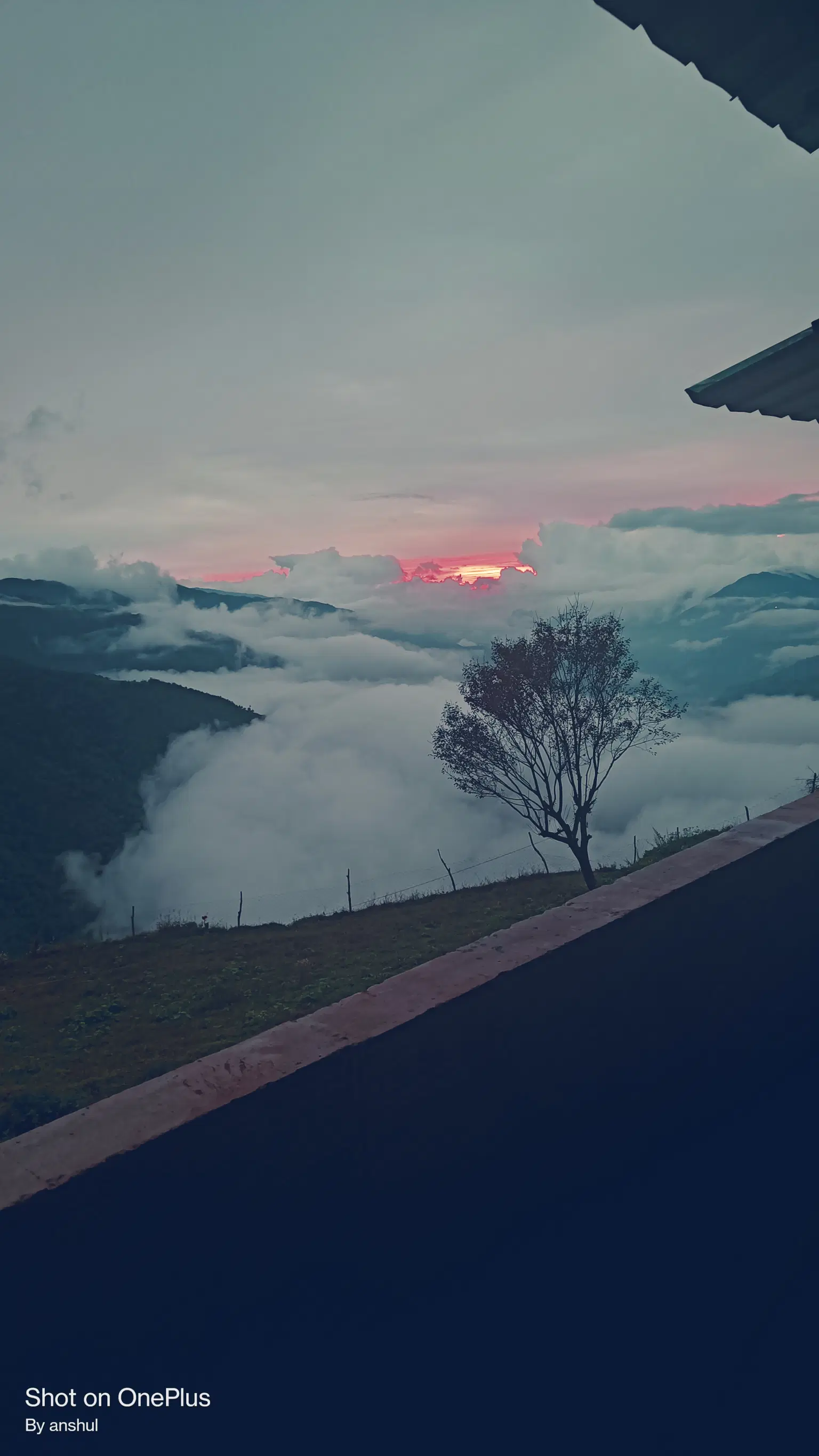 Photo from anshul sharma's trip