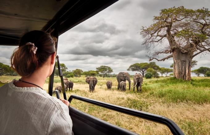 8 Days KENYA & TANZANIA Safari.jpeg