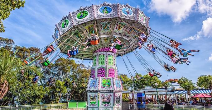 Ocean Park Hong Kong Rides