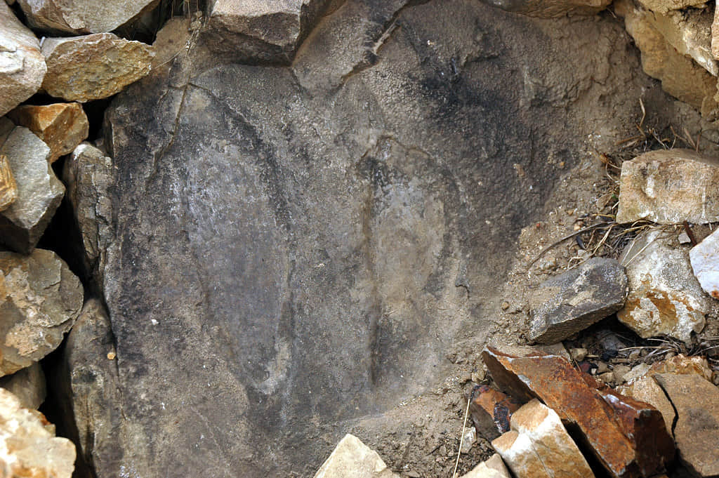 Witness the Guru Padmasambhava’s Footprints
