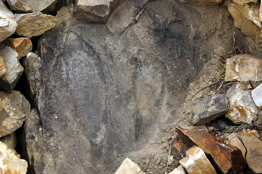 Witness the Guru Padmasambhava’s Footprints
