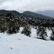 Photo from Pranay Gupta's trip