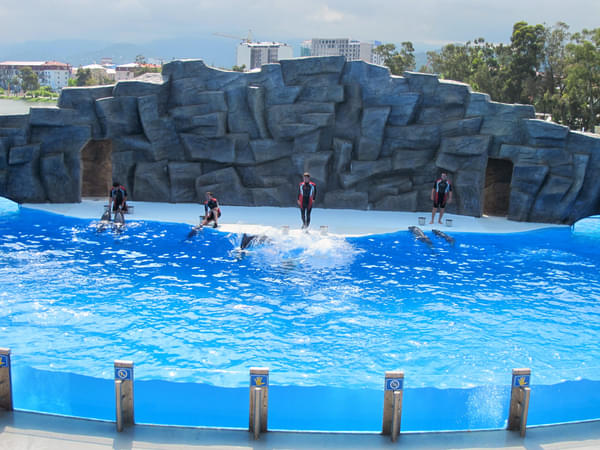 Batumi Dolphinarium