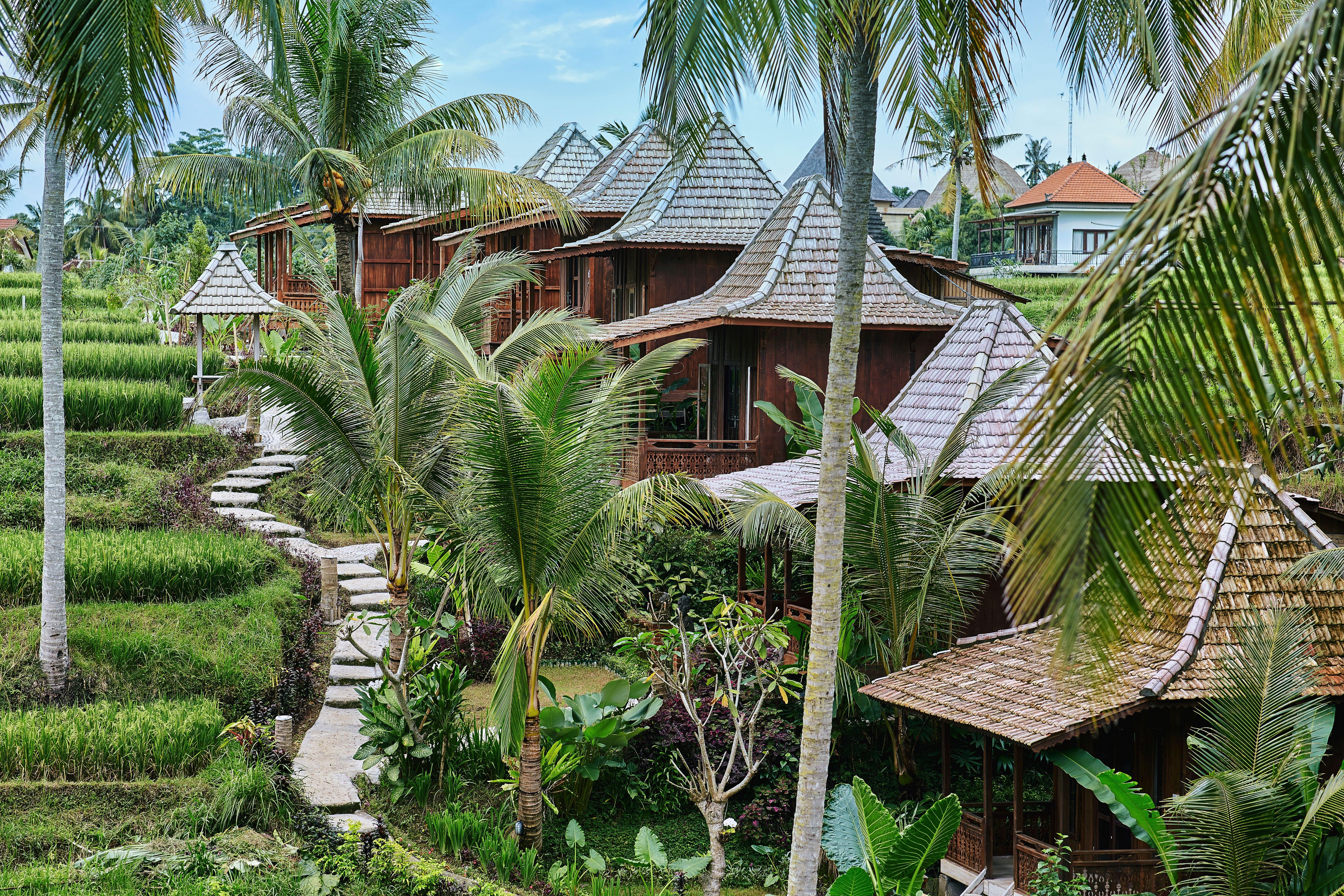 Villas near Tegallalang Rice Terrace