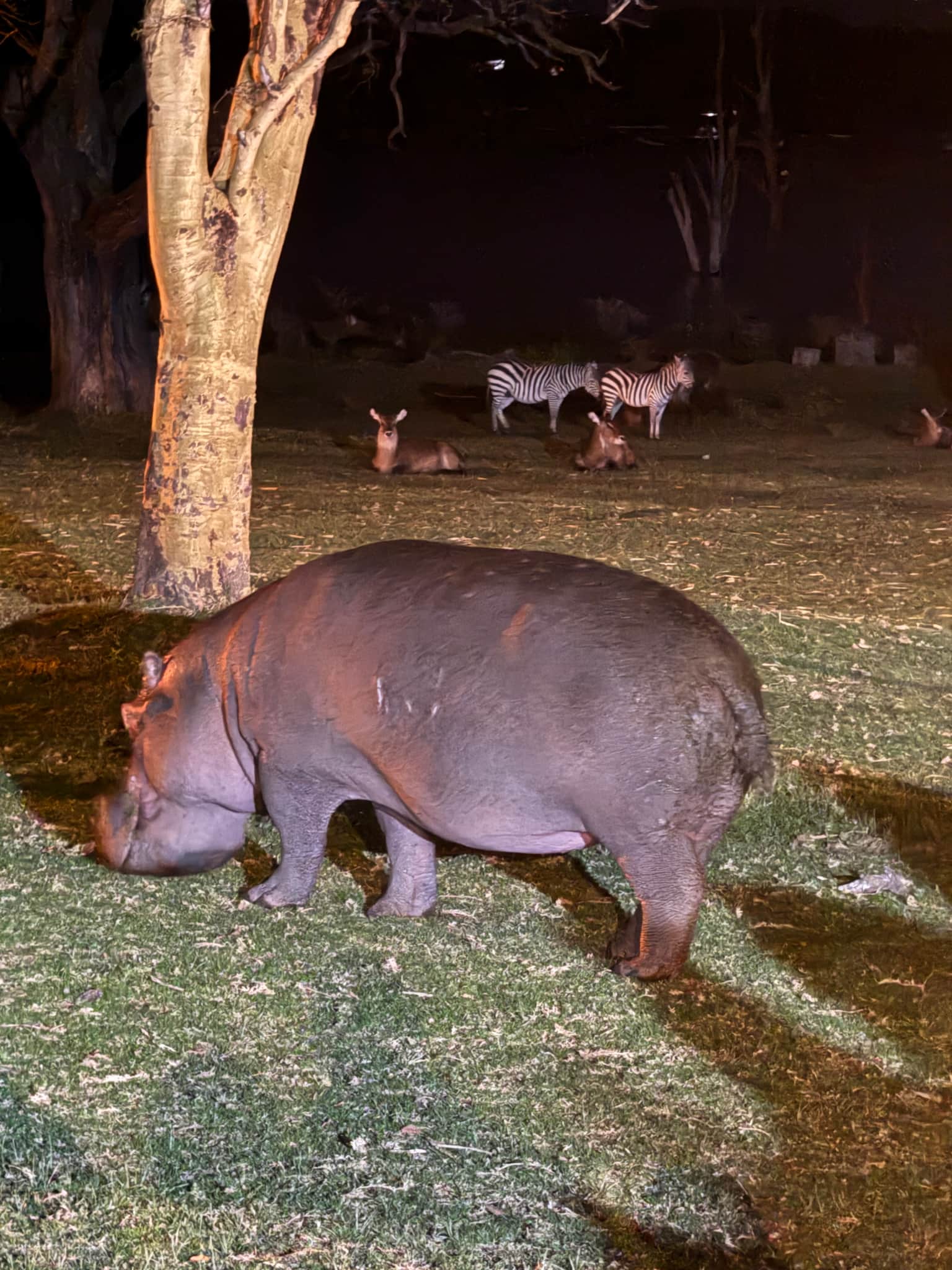Photo from SAGAR SHAH's trip