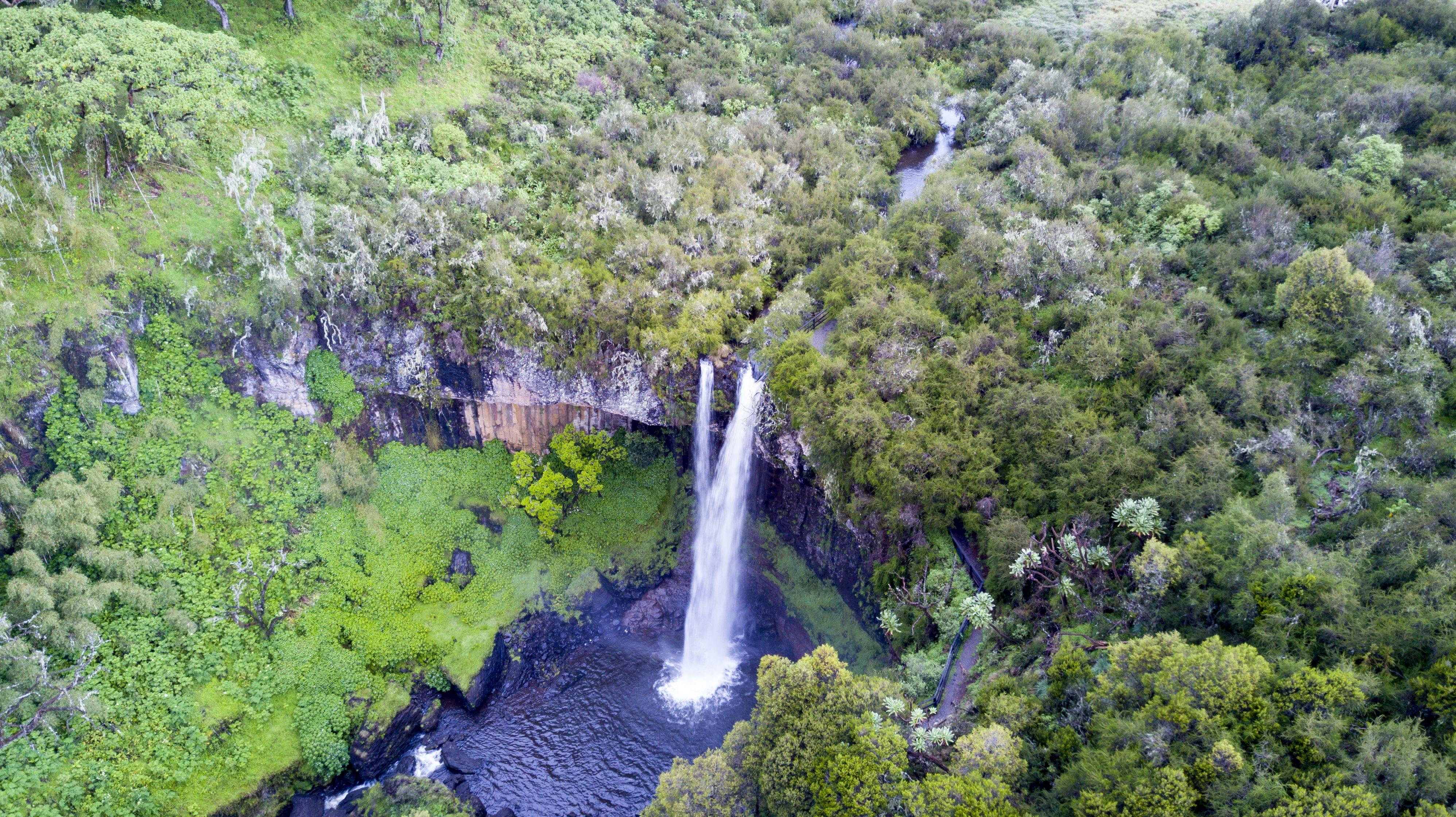 National parks in Kenya