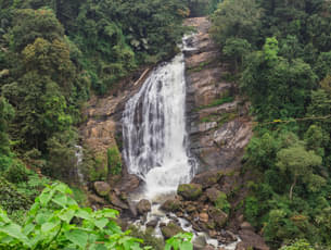 Kerala Waterfall Tour