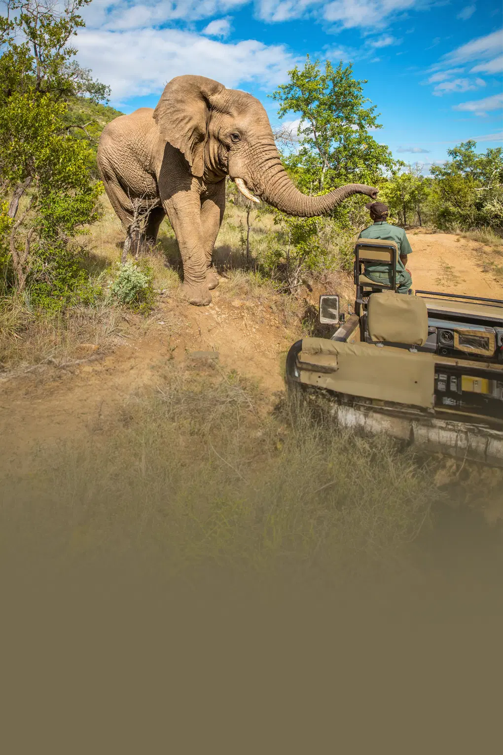 Highlights of South Africa with Free Pilansberg National Park Game Drive