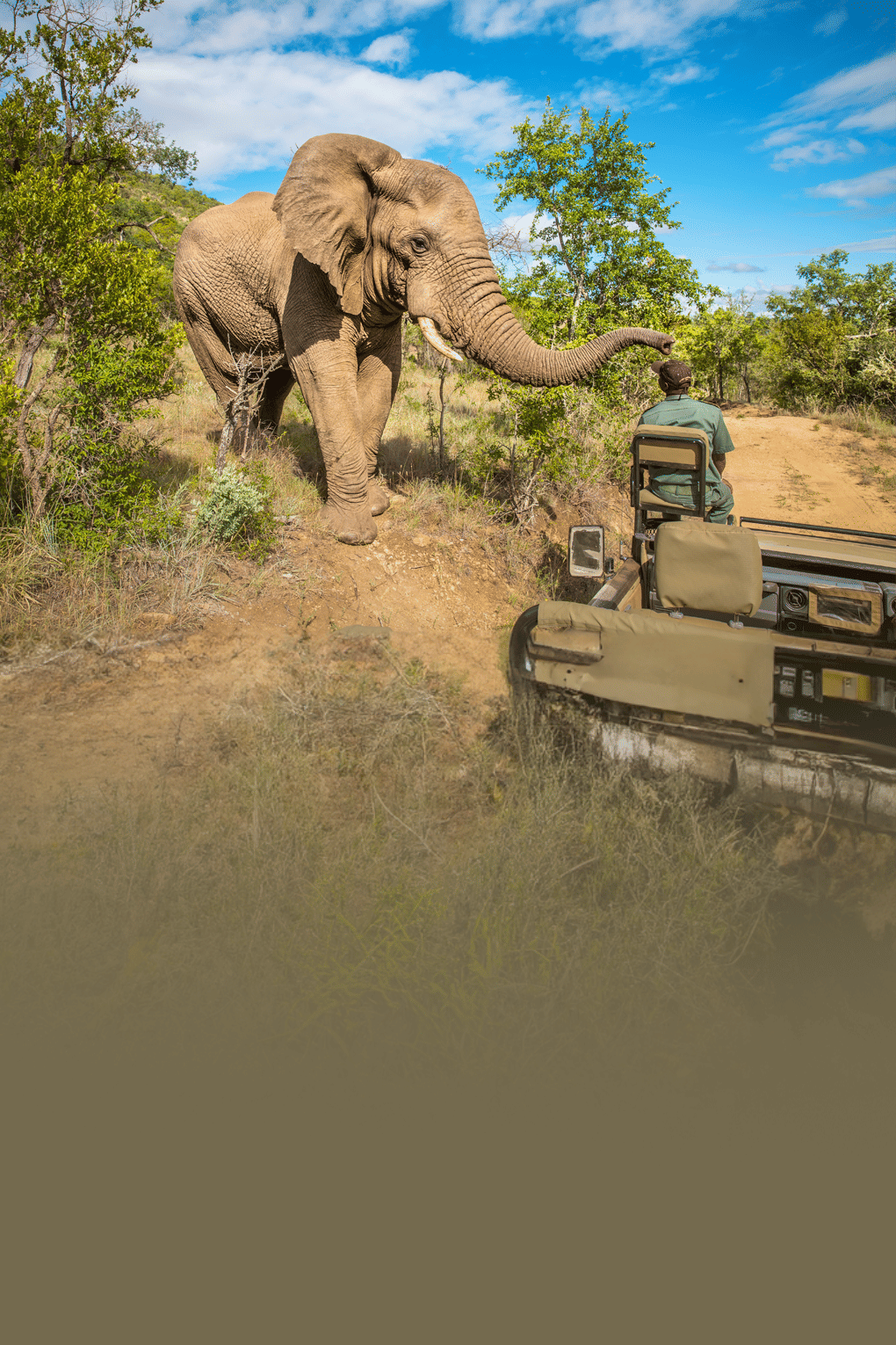 Highlights of South Africa with Free Pilansberg National Park Game Drive