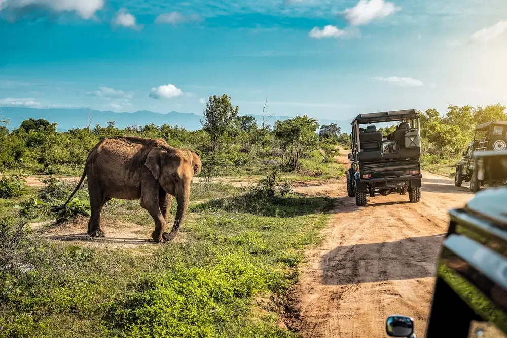 Gavi Jeep Safari from Thekkady