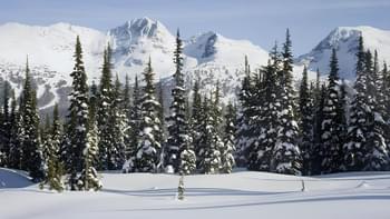 Hgib52sonea7av5f6a0qhoc4avmt gulmarg%20biosphere%20reserve%20(1)