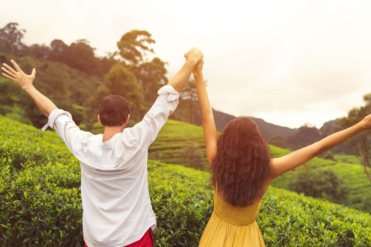 Scenic Escape to Kerala | Honeymoon Special
