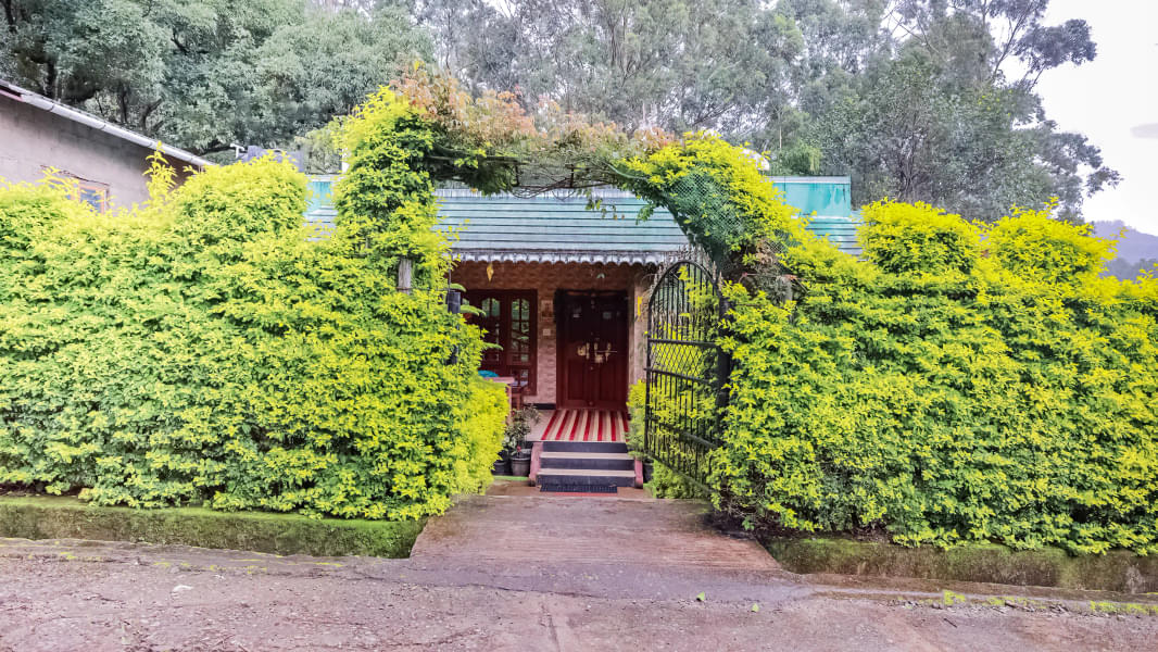 A Cosy Retreat Amidst Lush Green Forests Of Munnar Image