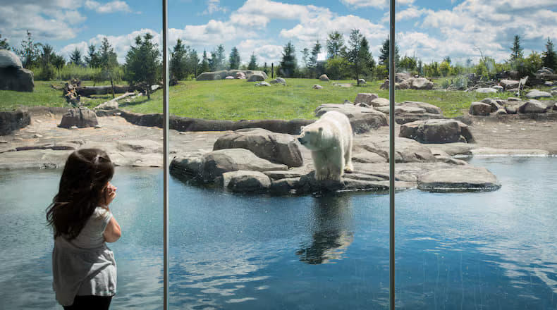 Columbus Zoo and Aquarium Tickets Image