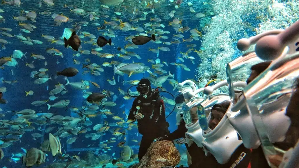Sea Walking in Bali