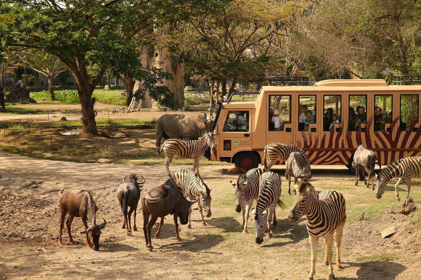 Bali Safari and Marine Park Tickets