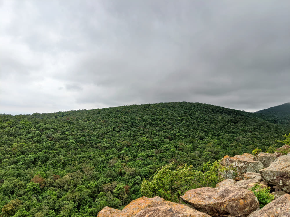 Nallamala Hills