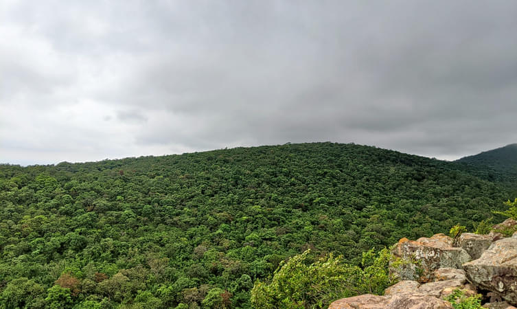 Nallamala Hills