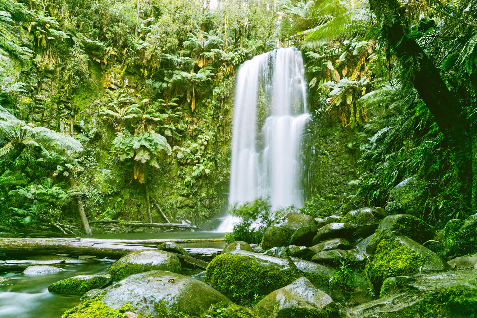 Great Otway National Park, <em>Victoria</em>