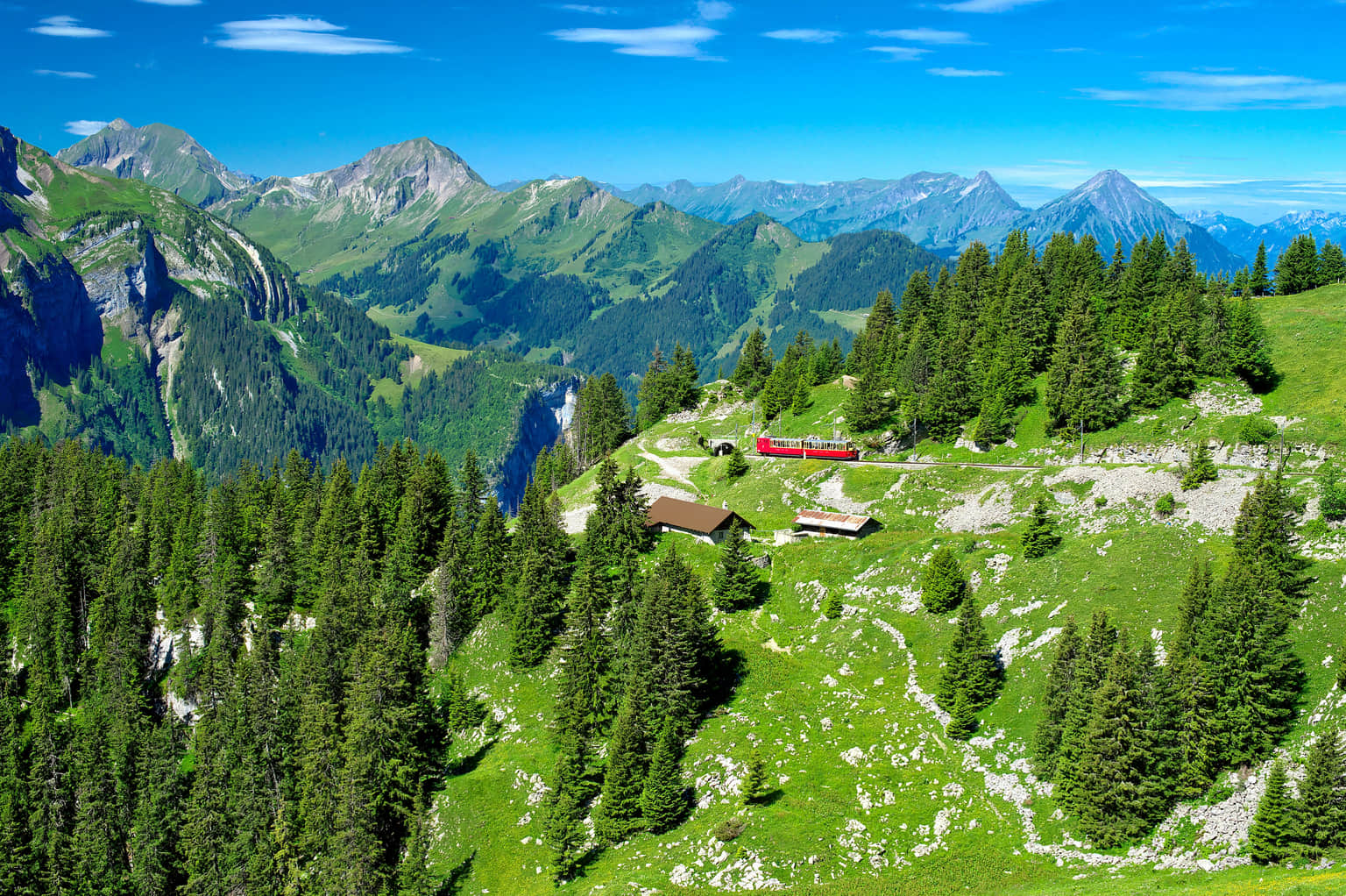 Schynige Platte, <em>Interlaken</em>